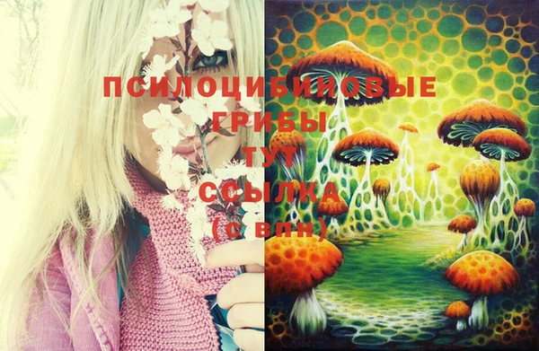 СК Белокуриха
