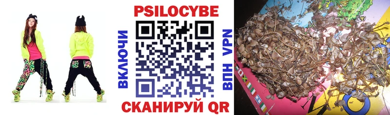 mega   Козьмодемьянск  Галлюциногенные грибы Psilocybe 